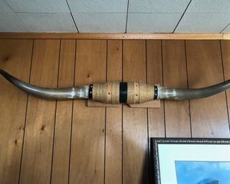 Long Horn Wall Mount 