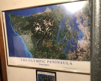 Olympic Peninsula Framed Poster 
