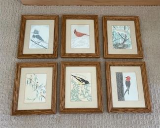 CLEARANCE ! $2.00 NOW, WAS $6.00...................Set of 6 Bird Pictures 10 3/4" x 9" (S217)