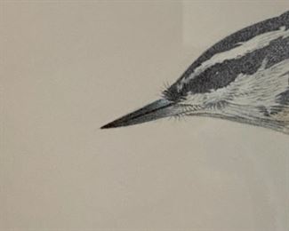 Lot 6030. $495.00. Richard Mueller's Colored Pencil Original of a Red-Breasted Nuthatch 13..5 x 11.5". Mueller does nearly all his work in colored pencils - pretty amazing, isn't it?