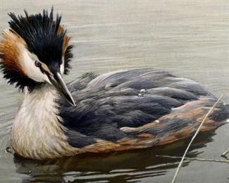 Lot 6032. $8,400.00 FIRM or best offer. Robert Bateman, born in 1930 Original oil on board "Great Crested Grebe (1983)". 9" x 12"w, signed and dated in the lower right. This is just a STUNNING oil painting. Purchased 2007 from Coeur d'Alene Art Auction in Idaho. Also included is an Art of Robert Bateman Book.