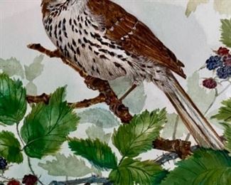 Lot 6034. $295.00. Original Watercolor by Cyndy Callog, 1994. Framed beautiful bird 15x10" image only. Exquisitely framed measures 26x21.5"