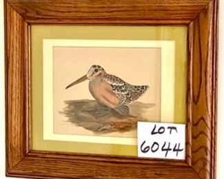 Lot 6044. $200.00. A Bonnie Allen Watercolor of a beautiful bird. 1982. 19"l x 15"h. From our research, Bonnie presently spends most of her time in the sculpture of birds, a subject she knows well.