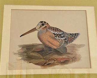 Lot 6044. $200.00. A Bonnie Allen Watercolor of a beautiful bird. 1982. 19"l x 15"h. From our research, Bonnie presently spends most of her time in the sculpture of birds, a subject she knows well.