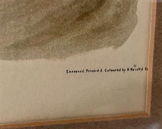 Lot 6045. $50.00. Antique Engraved Print "Great Footed Hawks" male and female Peregrine Falcons from the actual Audubon Plate Collection. Engraved, Printed, and Colored by R. Havell & Son. Anecdotal Commentary on the prints (this and the one of the white headed eagle in lot #6047: "Antique prints acquired by my mother. They hung for years in the back Hall at the City Farm."