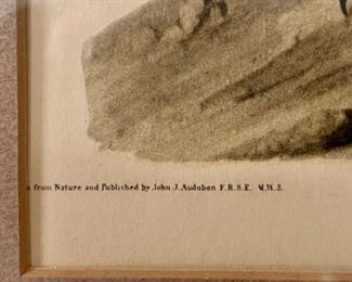 Lot 6045. $50.00. Antique Engraved Print "Great Footed Hawks" male and female Peregrine Falcons from the actual Audubon Plate Collection. Engraved, Printed, and Colored by R. Havell & Son Commentary on the prints (this and the one of the bald eagle: "Antique prints acquired by my mother. They hung for years in the back Hall at the City Farm."