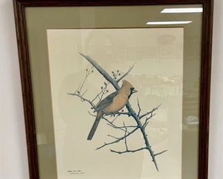 Lot 6147. $95.00. Michael James Riddet Hand-signed cardinal lithograph. Michael Riddet is a nationally known nature artist.