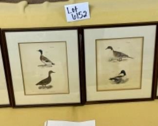 Lot 6152. $100.00. Set of four JW Hill Bird Hand-colored Lithographs. "Lith of Endicot" each is 13.5"w x 15.25"h. Plates 77, 108, 110, 112. Hand-colored.
