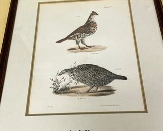 Lot 6152. $100.00. Set of four JW Hill Bird Hand-colored Lithographs. "Lith of Endicot" each is 13.5"w x 15.25"h. Plates 77, 108, 110, 112. Hand-colored.