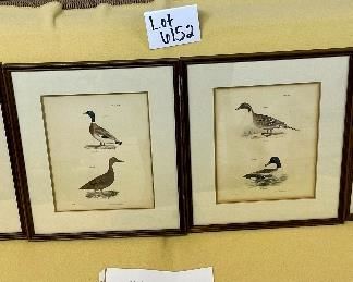 Lot 6152. $100.00. Set of four JW Hill Bird Hand-colored Lithographs. "Lith of Endicot" each is 13.5"w x 15.25"h. Plates 77, 108, 110, 112. Hand-colored.