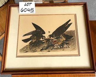 Lot 6045. $50.00. Antique Engraved Print "Great Footed Hawks" male and female Peregrine Falcons from the actual Audubon Plate Collection. Engraved, Printed, and Colored by R. Havell & Son Commentary on the prints (this and the one of the white head eagle in lot 6047: "Antique prints acquired by my mother. They hung for years in the back Hall at the City Farm."