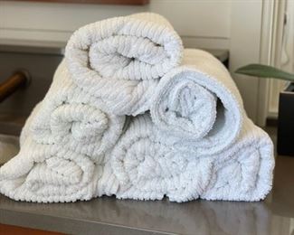 Sample of Plush White Towels. 