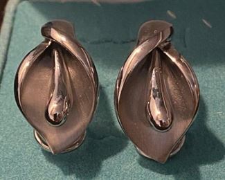 117TT Stainless Earrings