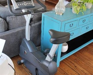 Life Cycle Exercise Bike in the German Language, purchased in Europe.