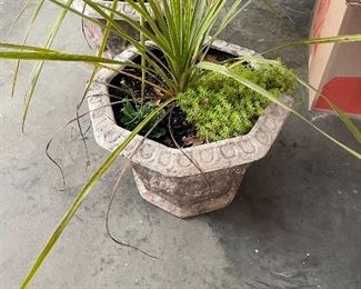 SEVERAL OUTDOOR PLANTERS