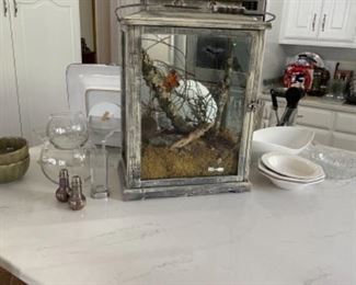 BEAUTIFUL SHADOWBOX WITH BUTTERFLIES AND BRANCHES
