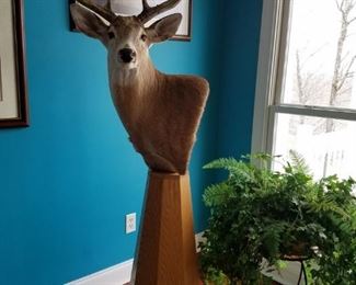 Whitetail buck on custom stand