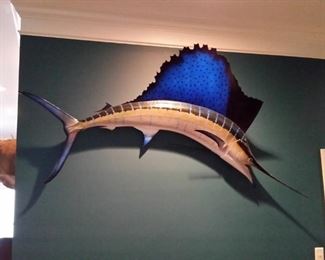 Sailfish