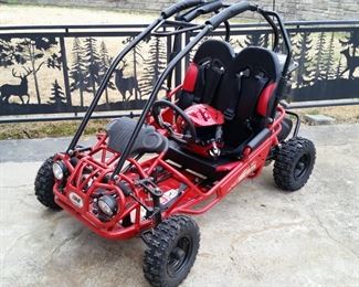 Kid size go kart