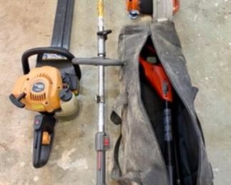 Edger, hedge trimmer, blower, battery pole saw