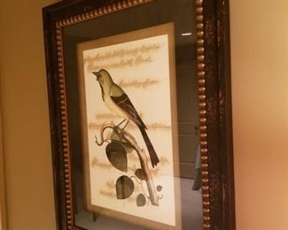 Framed Art Bird  $80