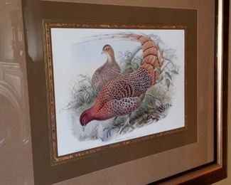 Large Framed Pheasant Picture/ Art   $250