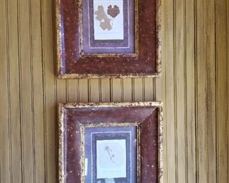 Pair of Framed Botanical Art  $125