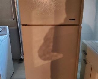 Frigidaire refrigerator