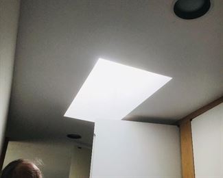 We have a number of skylights