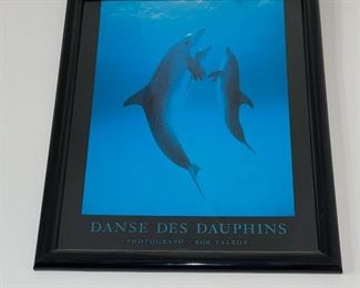 Bob Talbot Dolphins Framed Print