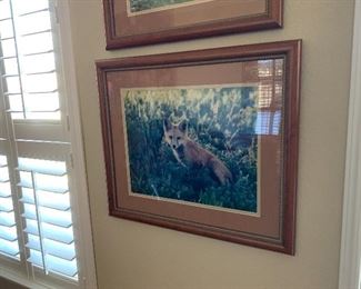 $78~ Framed print of fox