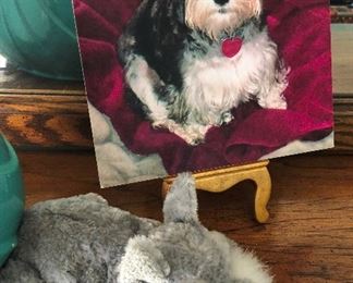 Shnauzer picture and stuffed dog