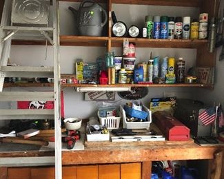 Some tools, ladder