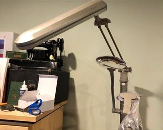 Ottlite Floor Lamp