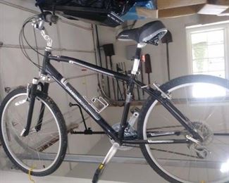 Diamond Back 'Wildwood Classic' bicycle