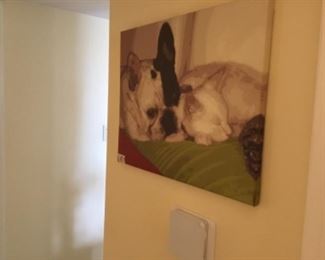 French bulldog painted canvas - $20.00