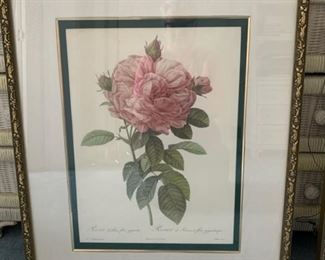 Bombay Company rose prints
