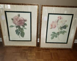 Rose framed Botanical prints by Pierre-Joseph Redouté 