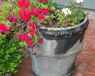 YARD Decor - Plants