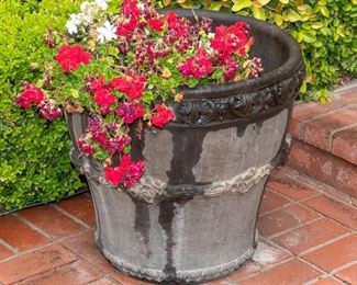 YARD Decor - Plants