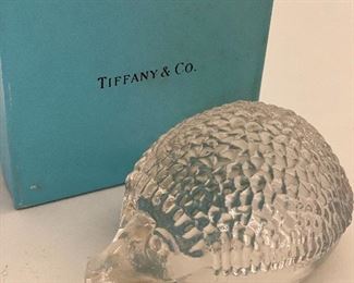 Tiffany hedgehog
