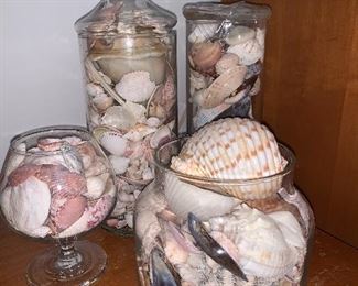 Seashells.....