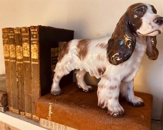 Old Books and Great Dogs