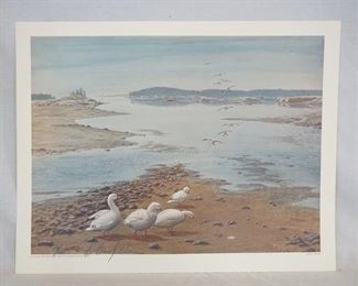 1085	SIGNED D. CROSBY BROWN LIMITED EDITION PRINT TITLED *ROSS' GOOSE* NO. 150/200. COPYRIGHT 1984 KATAHDIN ART GALLERY. PENCIL SIGNED LOWER LEFT CENTER. 21 1/2 IN X 16 3/4 IN. 
