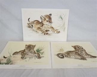 1087	LOT OF THREE RALPH THOMPSON ART POSTERS OF LION/LEOPARD CUBS PUBLISHED BY GANYMED PRESS LONDON LIMITED, LARGEST IS 18 3/4 IN X 25 3/4 IN. 
