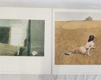 1106	LOT OF TWO ANDREW WYETH ART POSTERS BY SHOREWOOD FINE ART REPRODUCTIONS; *CHAMBERED NAUTILUS* & *CHRISTINA'S WORLD* THEY ARE BOTH APP. 28 1/2 IN X 22 1/2 IN. 
