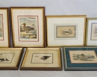 1109	LOT OF SEVEN FRAMED BIRD PRINTS. ALL BUT ONE ARE OF DUCKS. LARGEST ARE 12 1/2 IN X 15 1/2 IN INCLUDING FRAMES. 
