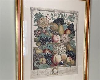 framed Botanical Print