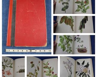 flowers book
