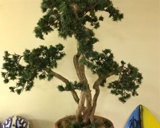 Bonsai tree